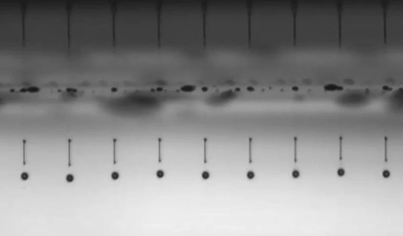 Dropwatching: Aufnahme herausspritzender Tröpfchen mit Ligamenten, aufgenommen von der DMK 33GP031, GigE-Monochromkamera.